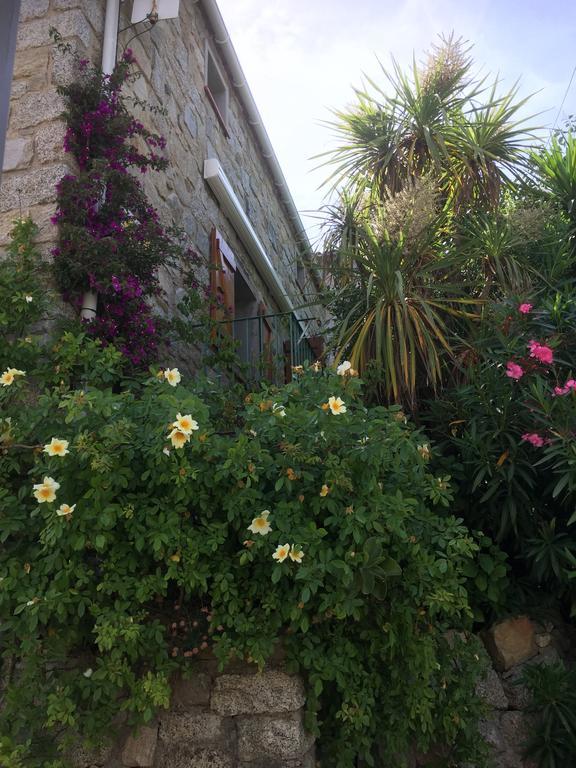 Maison De Vacances - Casa Mezanaccia Avec Terrasse Fleurie Meuble Tourisme 3 Etoiles Santa-Lucia-di-Tallano Cameră foto
